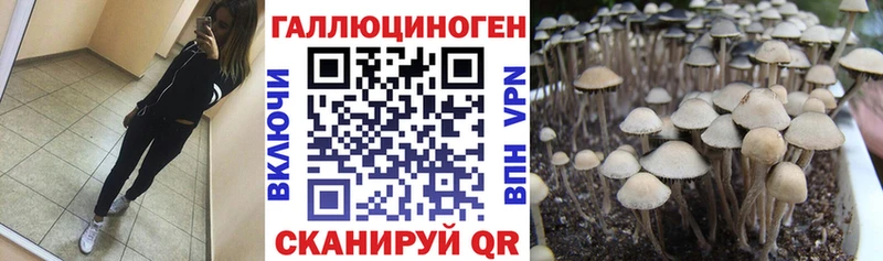МЕГА tor Бежецк Псилоцибиновые грибы мухоморы